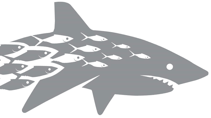 Image of BJJ Battalion Image of BJJ Battalion